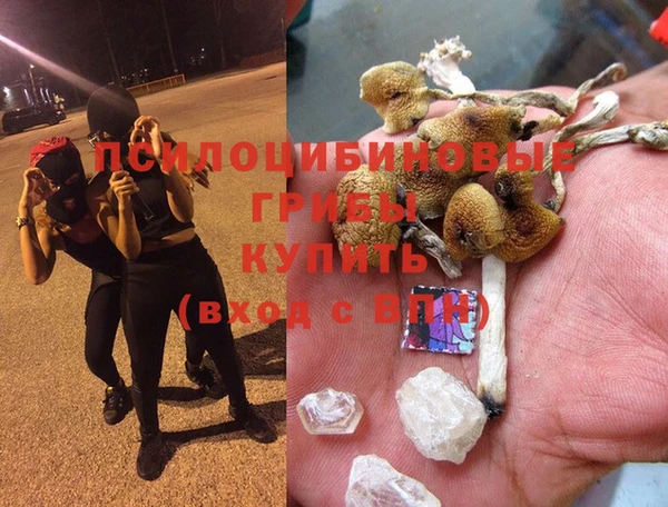 каннабис Надым