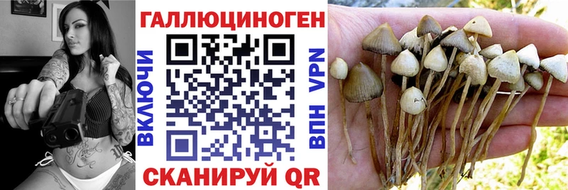 Галлюциногенные грибы Cubensis  Любань 